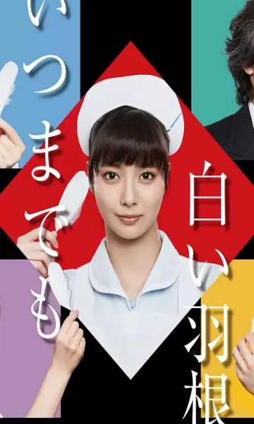 永远的白羽毛