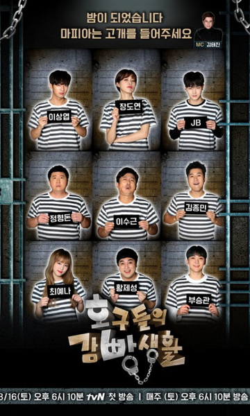 傻瓜们的监狱生活封面图
