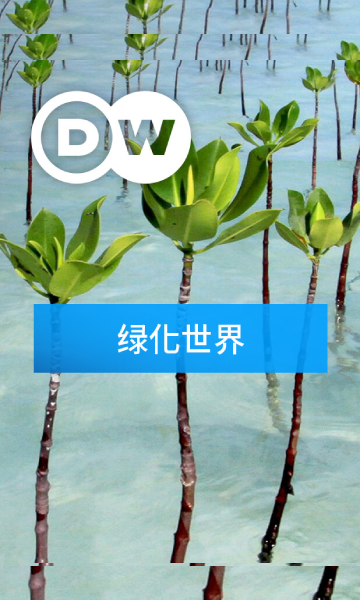 绿化世界封面图