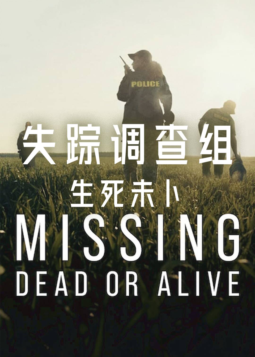 失踪调查组：生死未卜第一季封面图