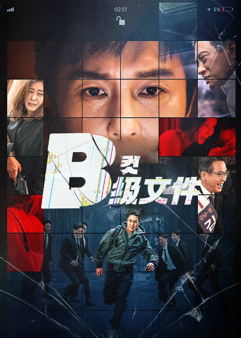 B级文件