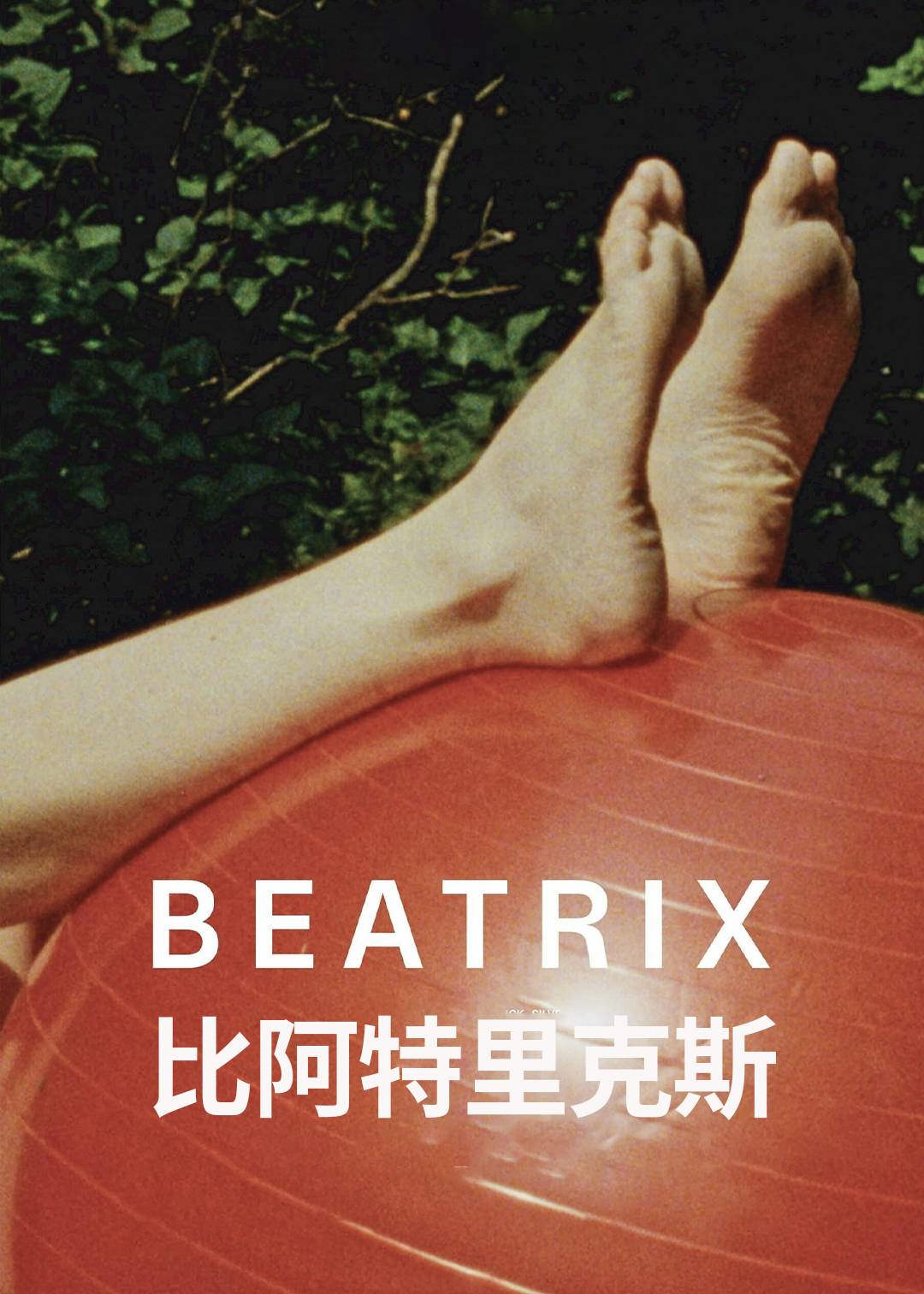 比阿特里克斯