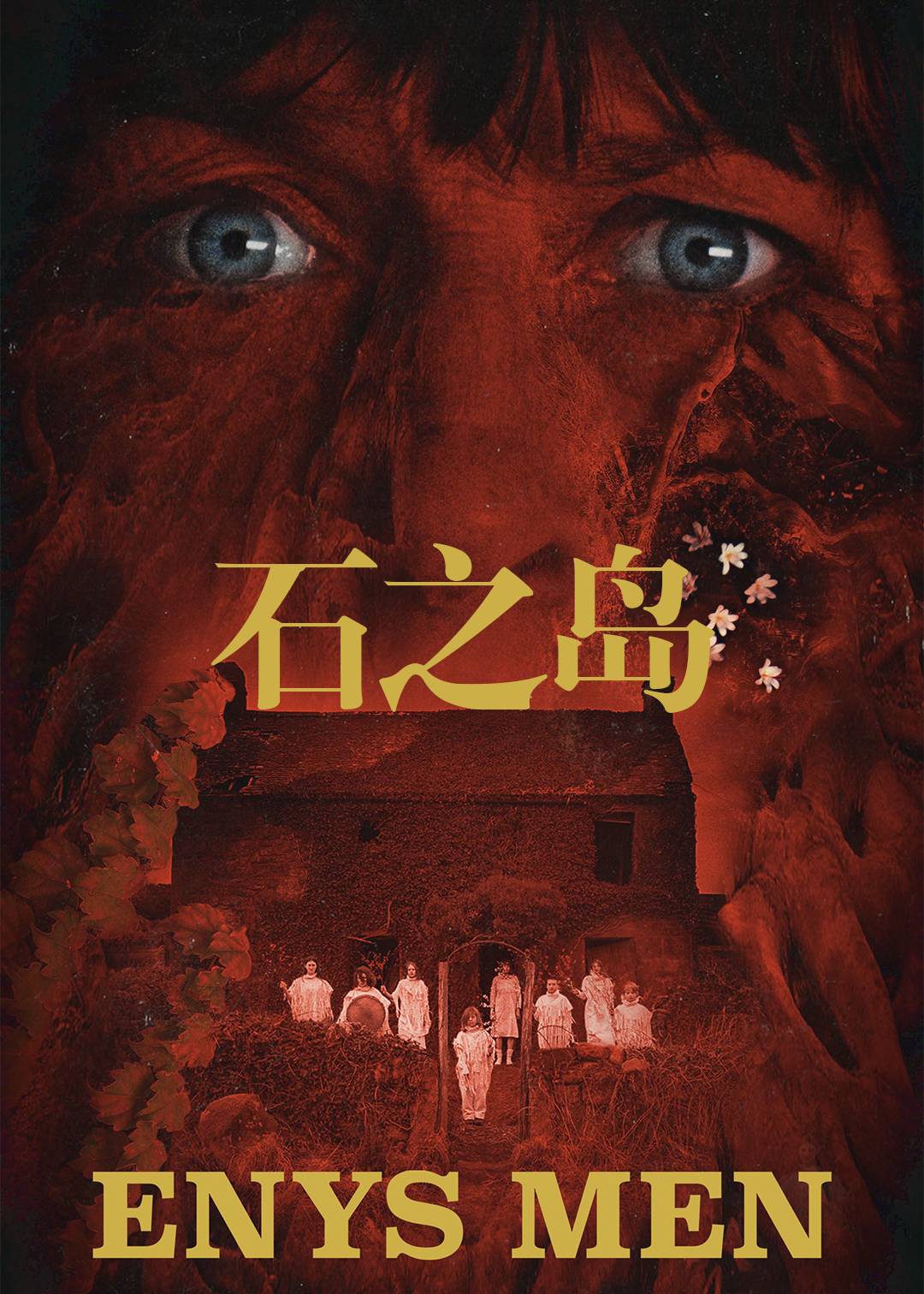 石之岛封面图