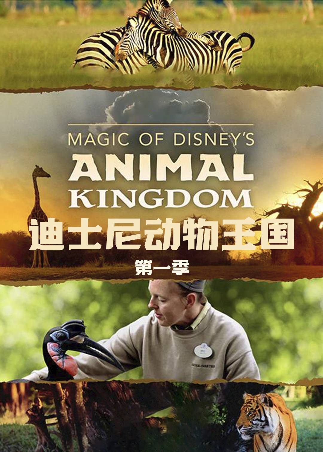 迪士尼动物王国第一季封面图