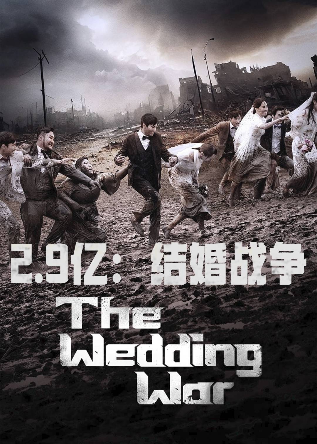 2亿9千：结婚战争封面图