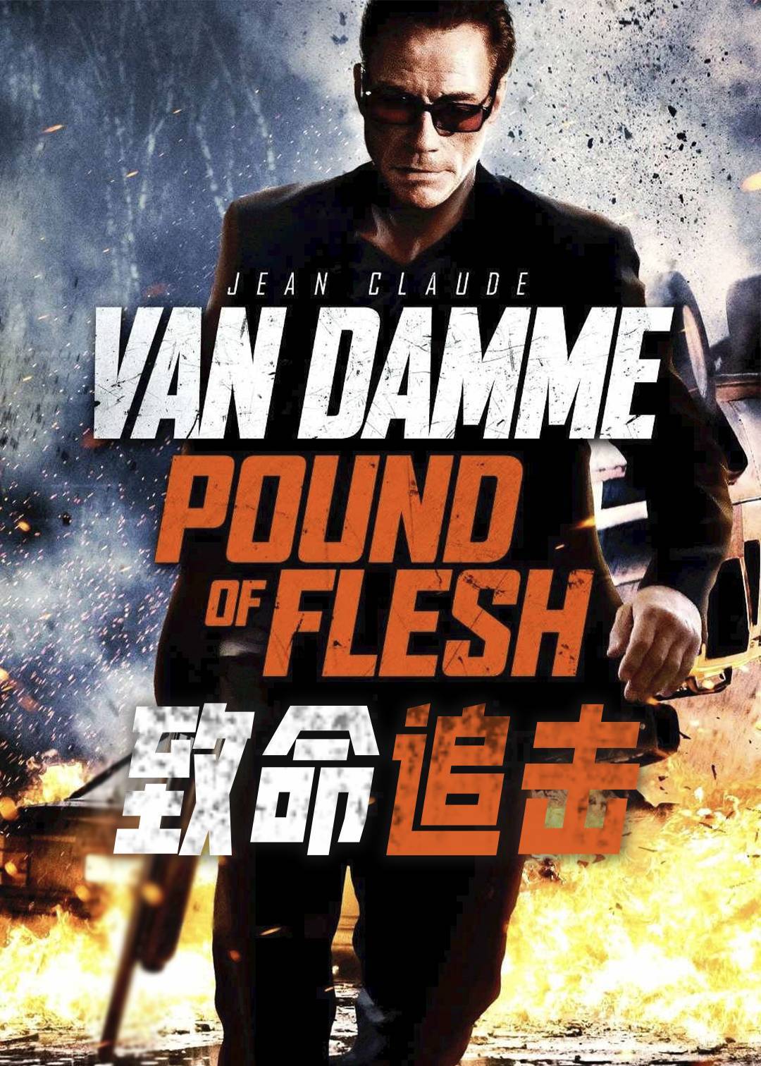 致命追击封面图