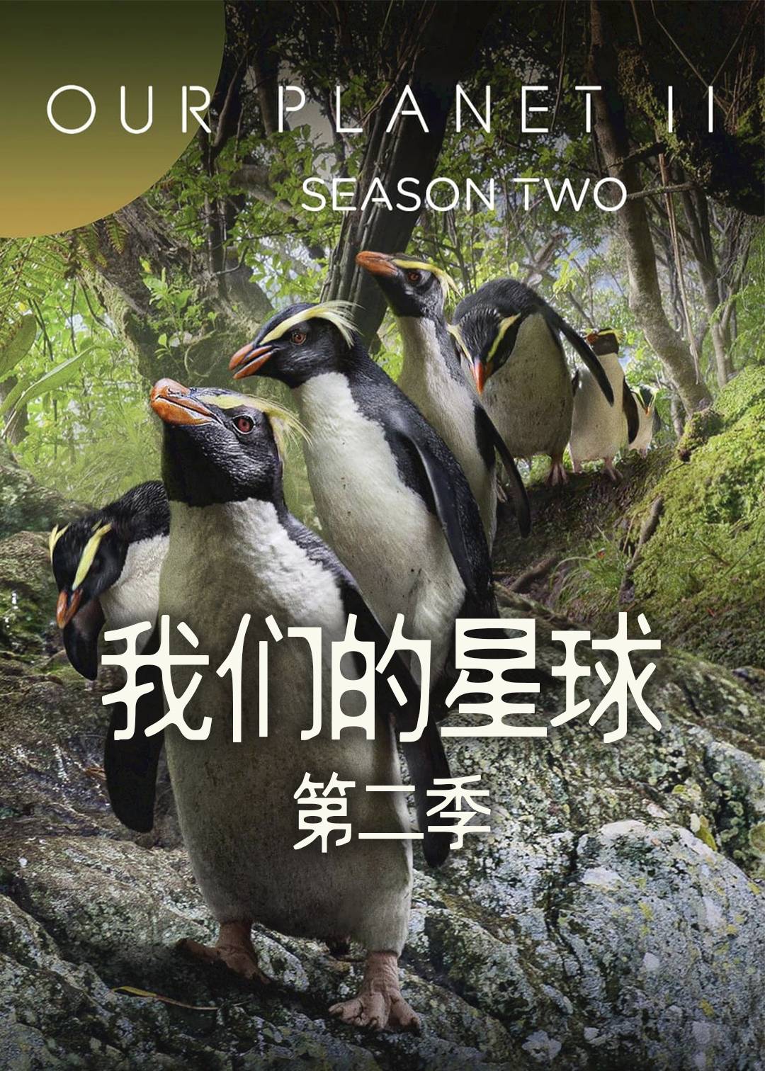 我们的星球2