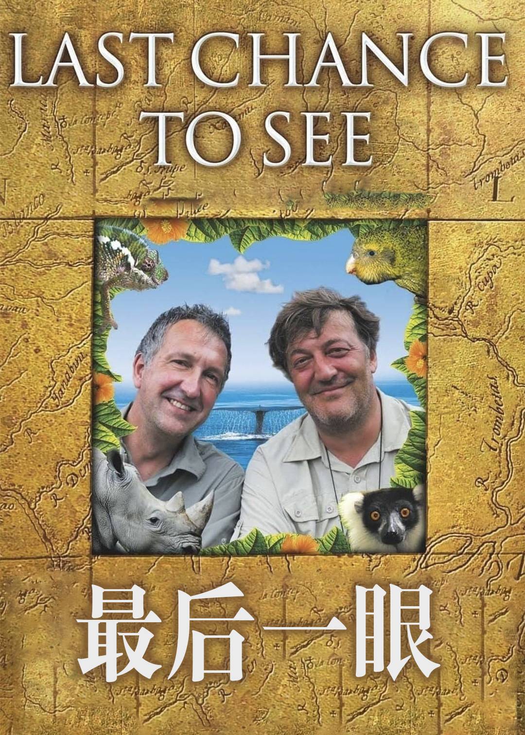 最后一眼封面图
