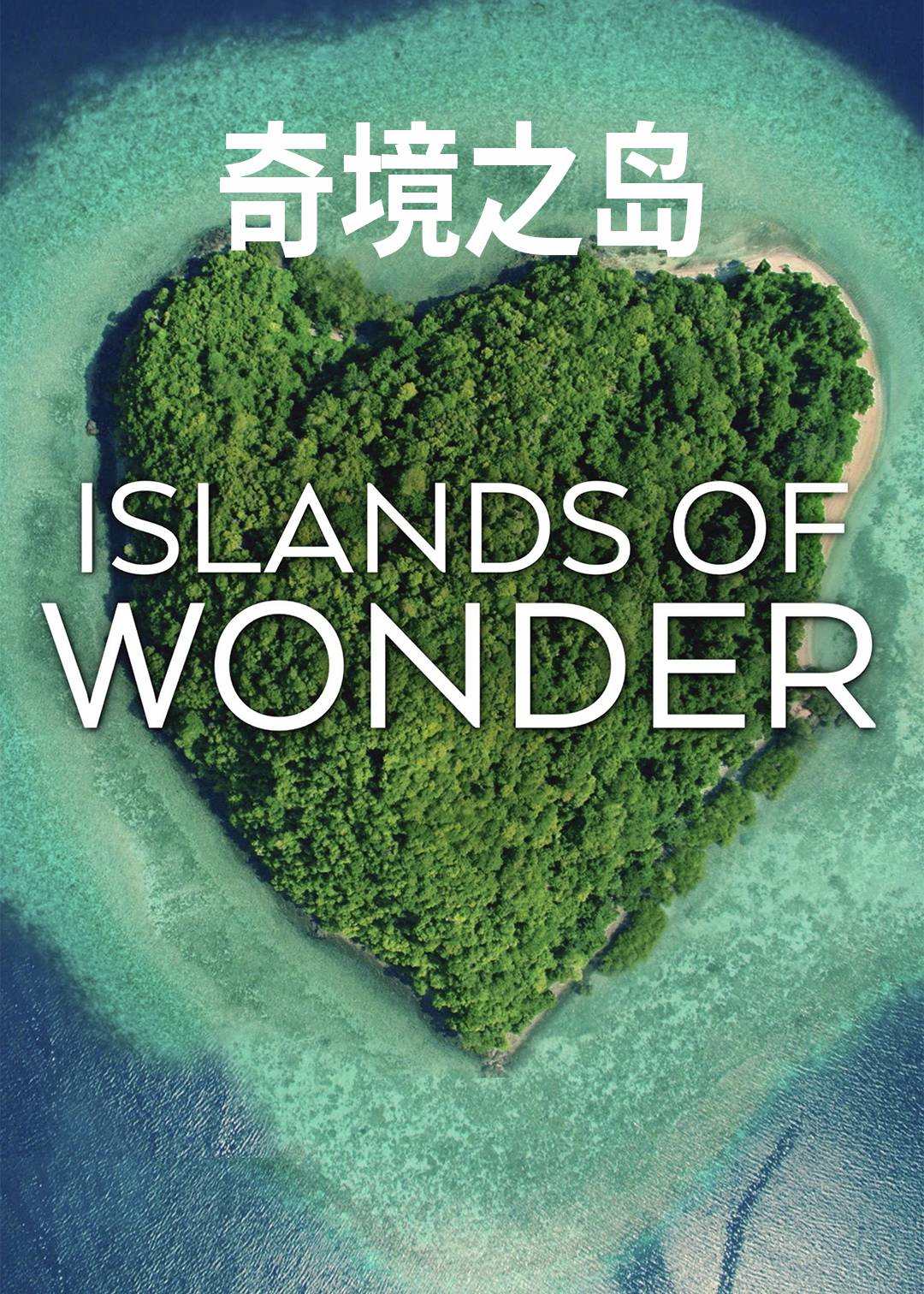 奇境之岛封面图