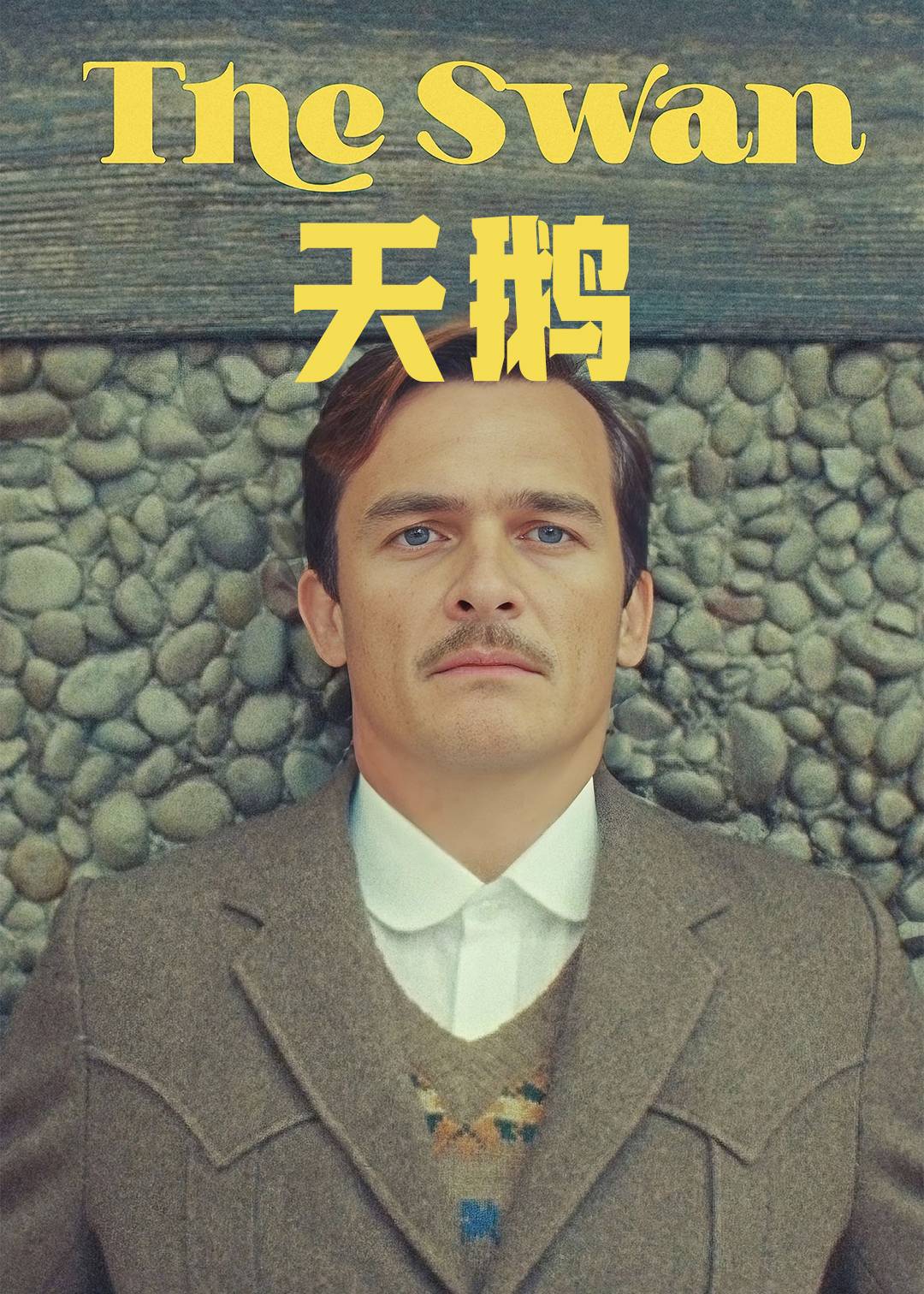 天鹅