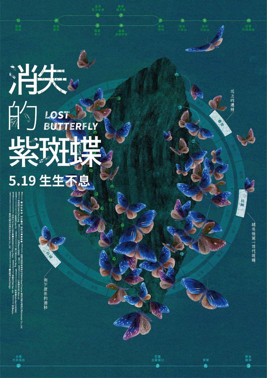 消失的紫斑蝶封面图