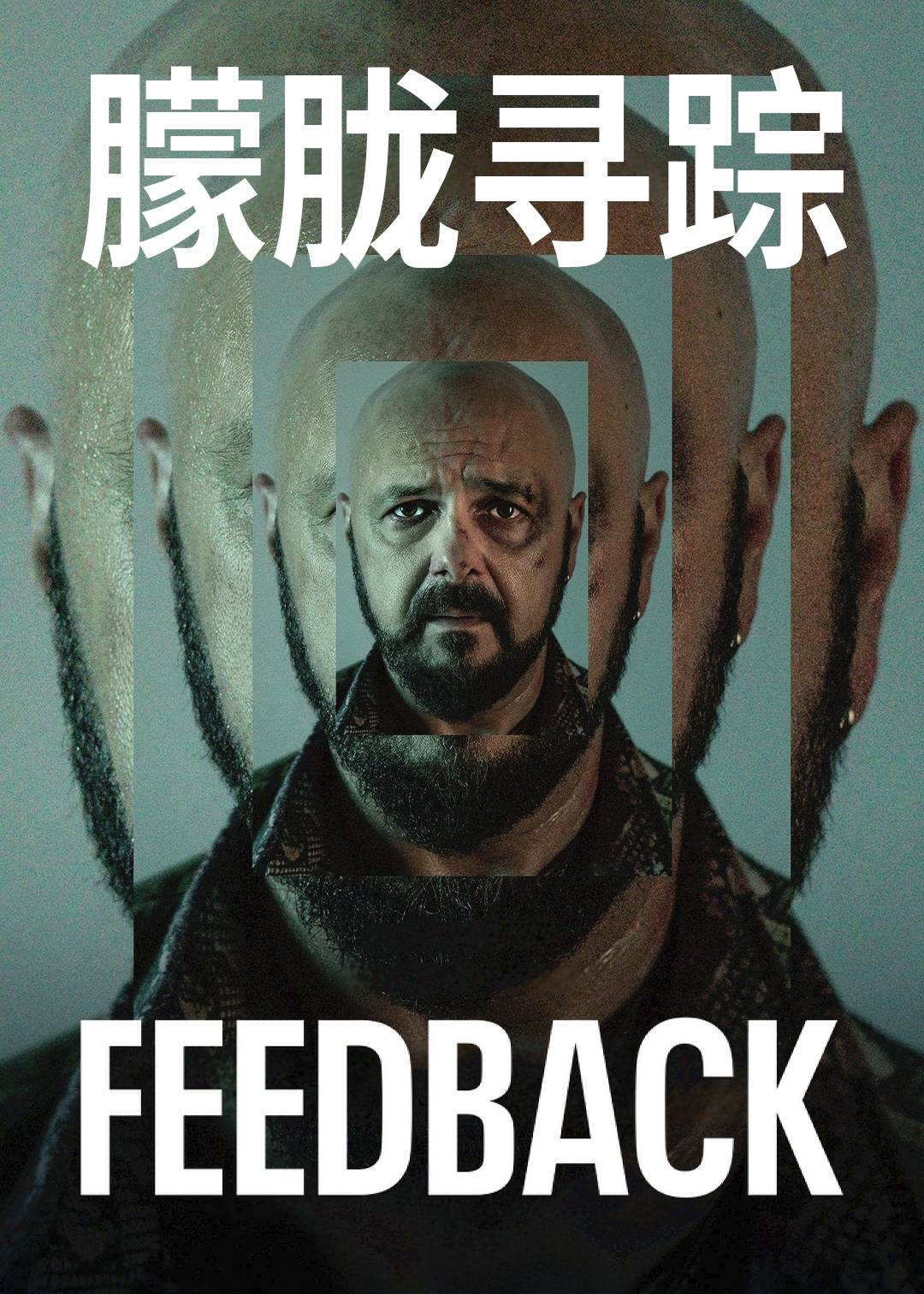 朦胧寻踪