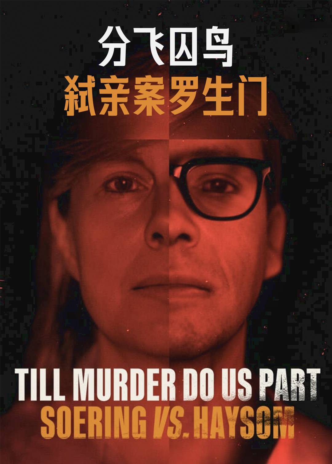 分飞囚鸟：弑亲案罗生门封面图