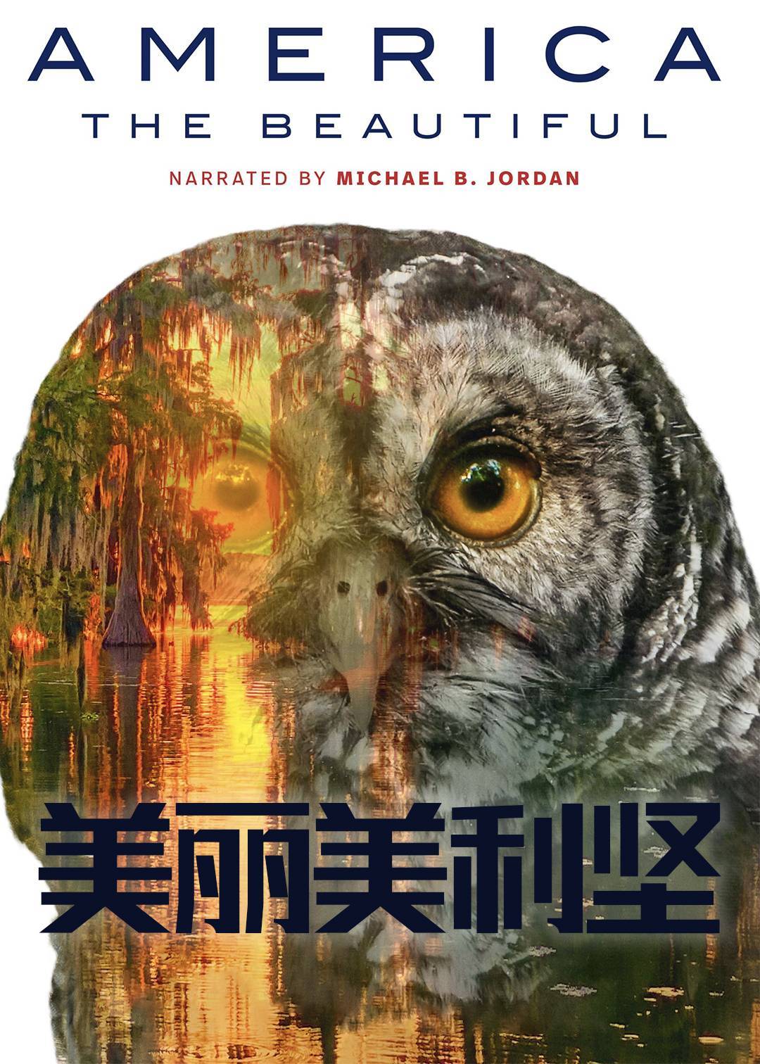 美丽美利坚封面图