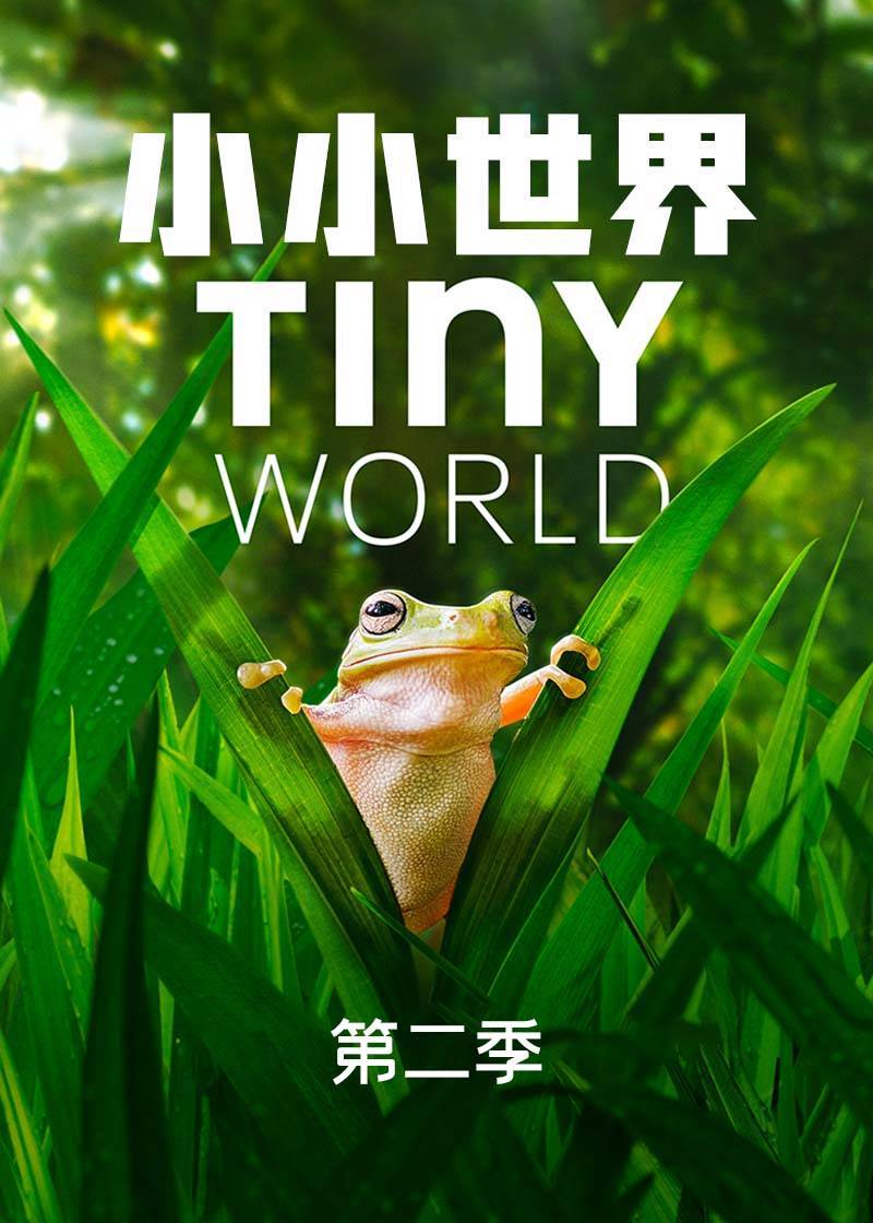 小小世界第二季封面图