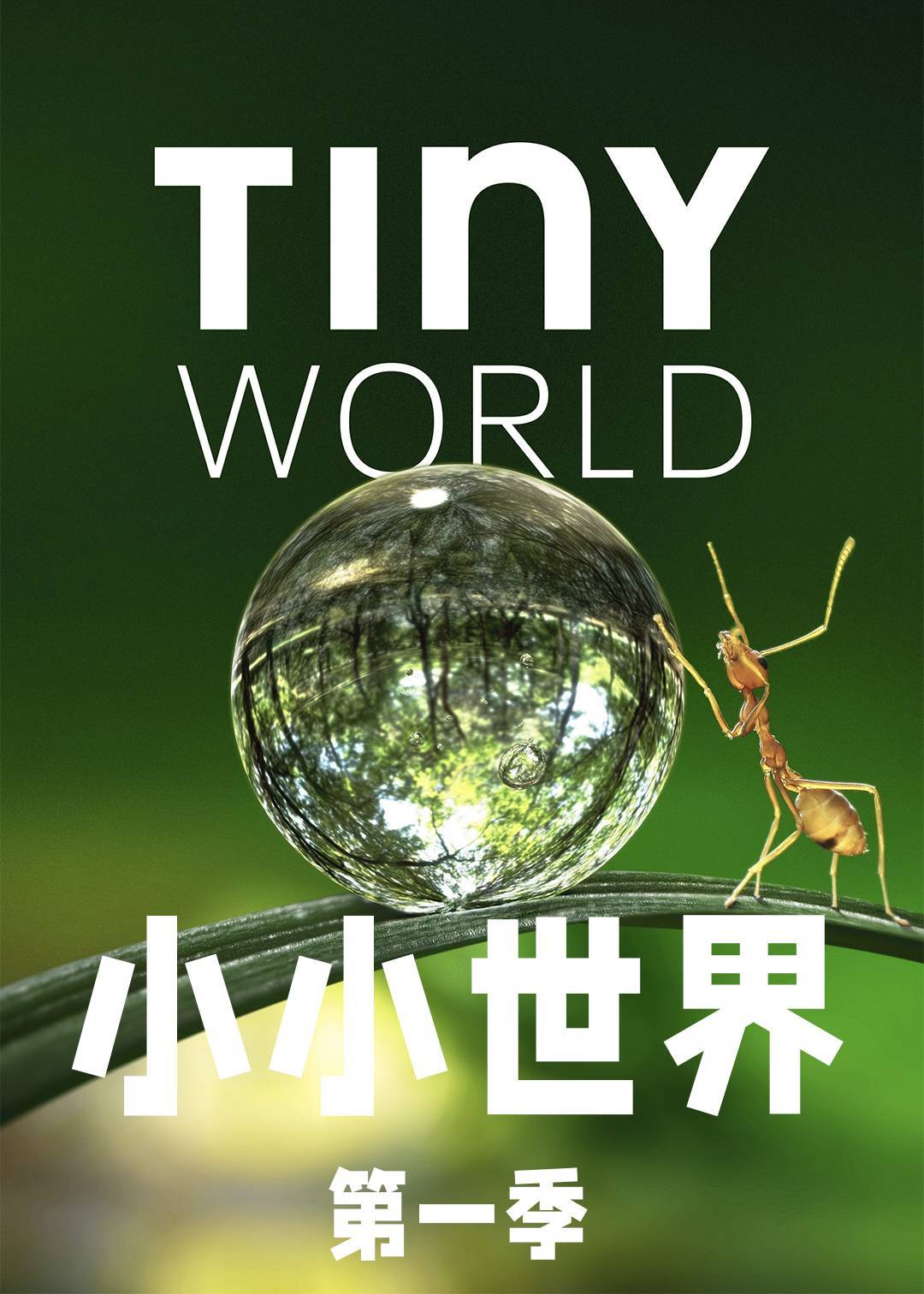小小世界第一季封面图