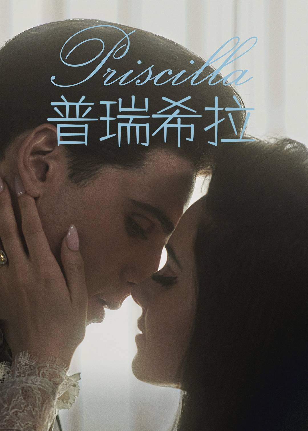 普瑞希拉封面图