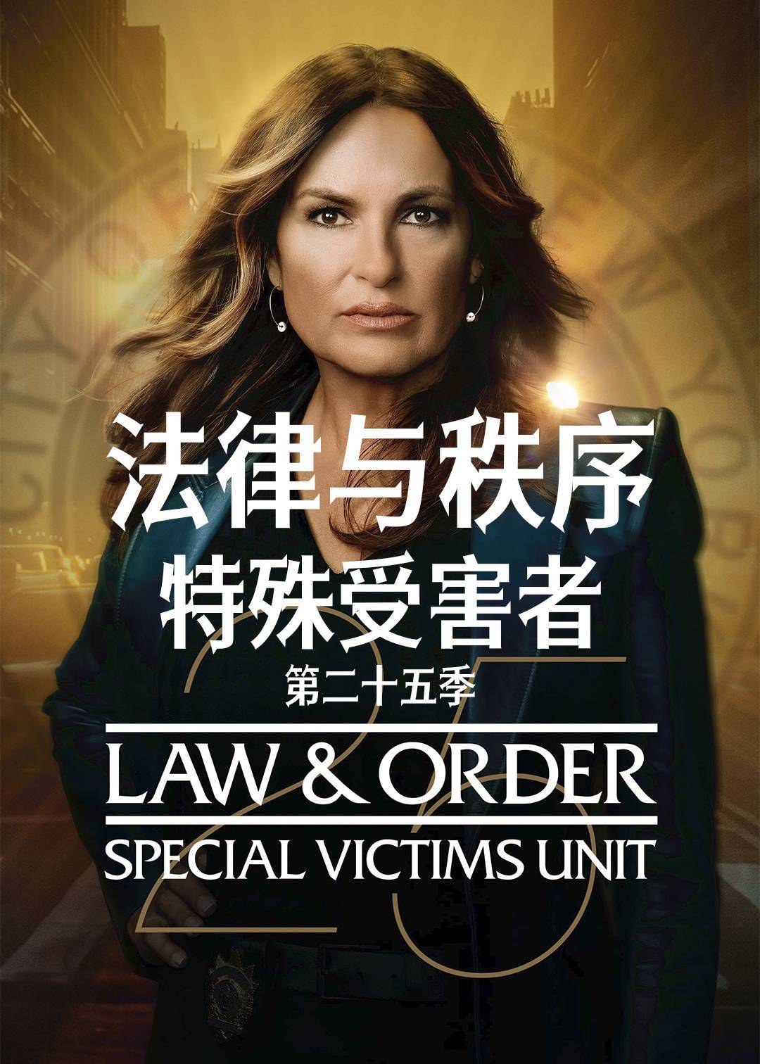 法律与秩序：特殊受害者第二十五季