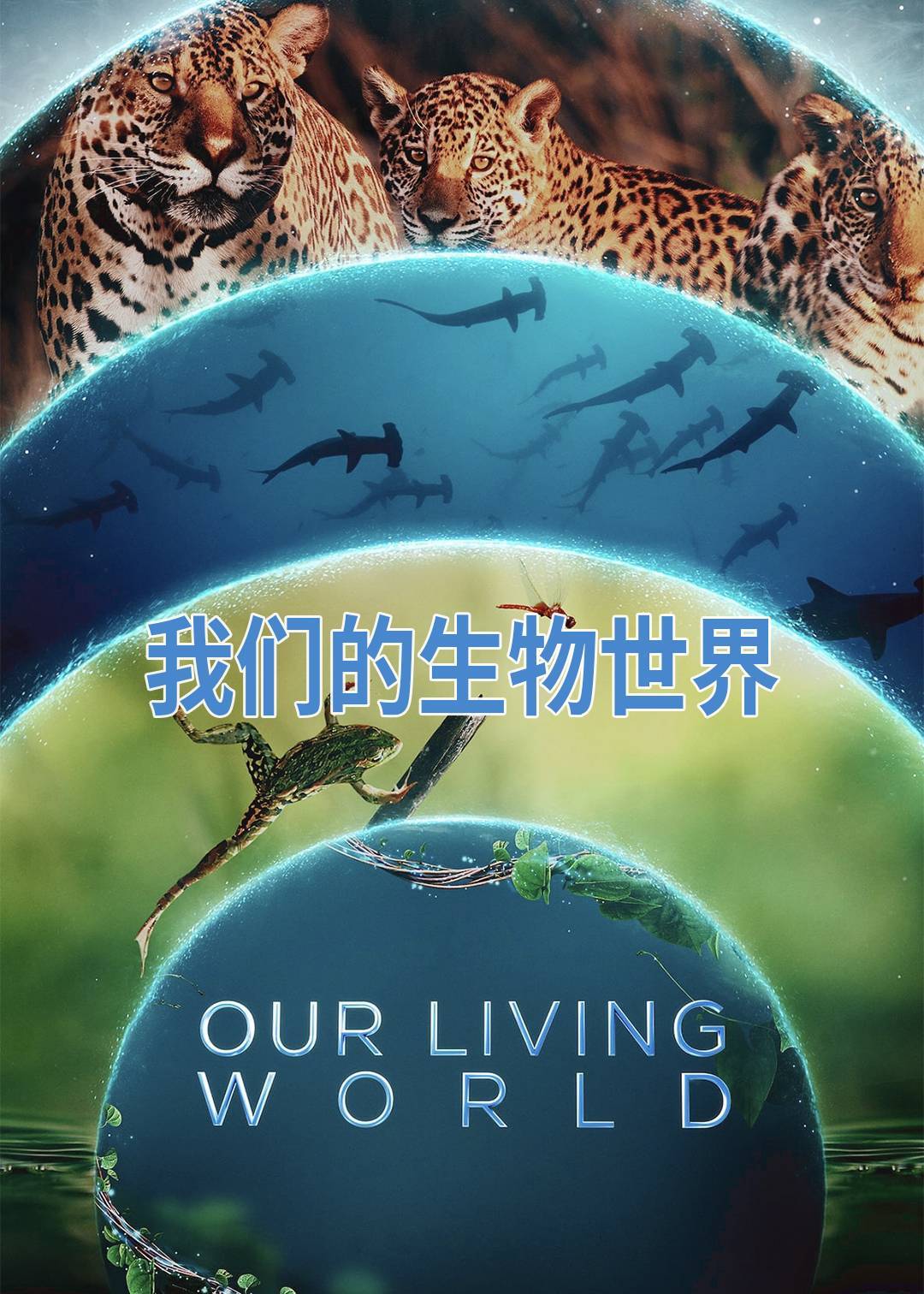 我们的生物世界封面图