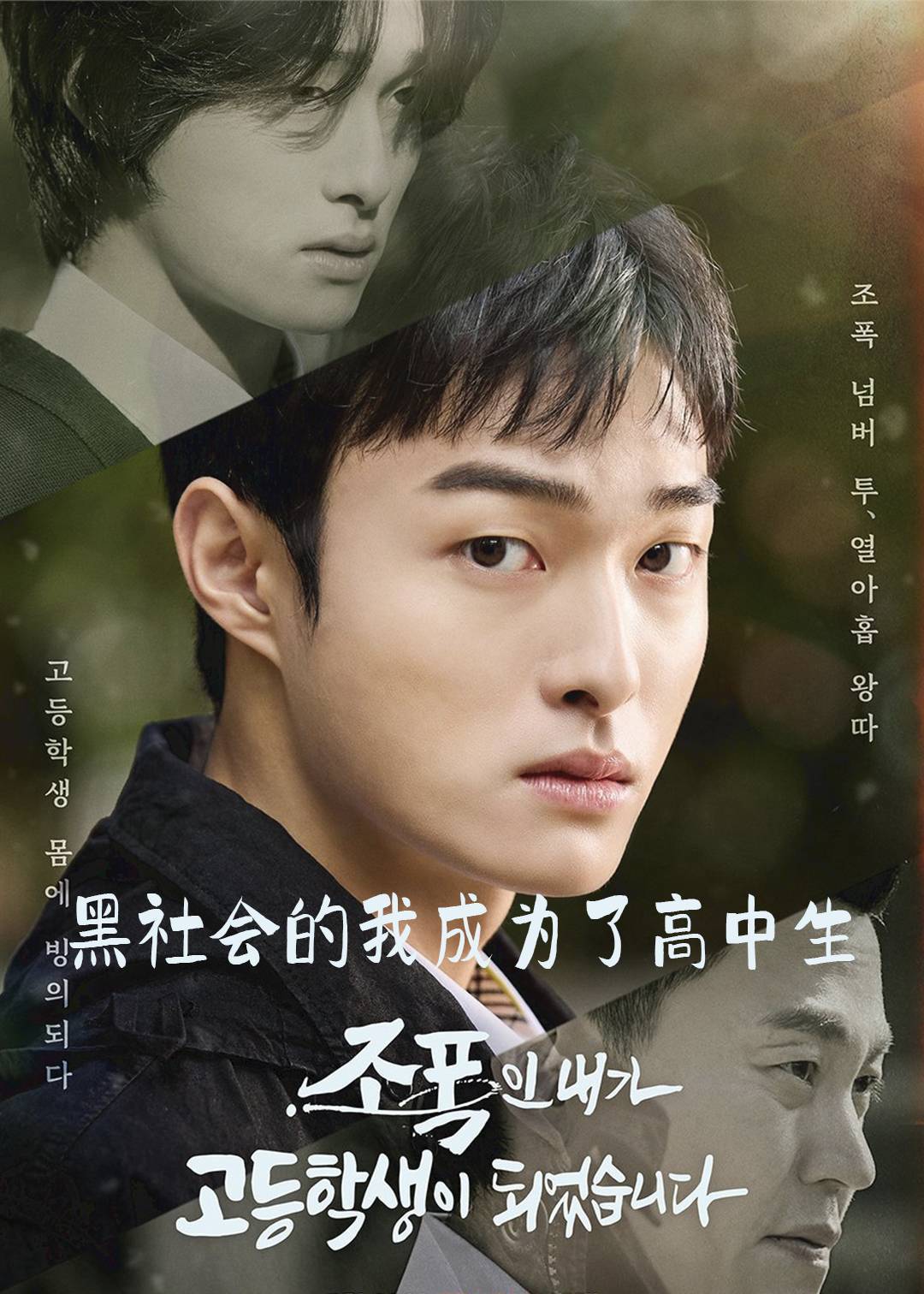 黑社会的我成为了高中生