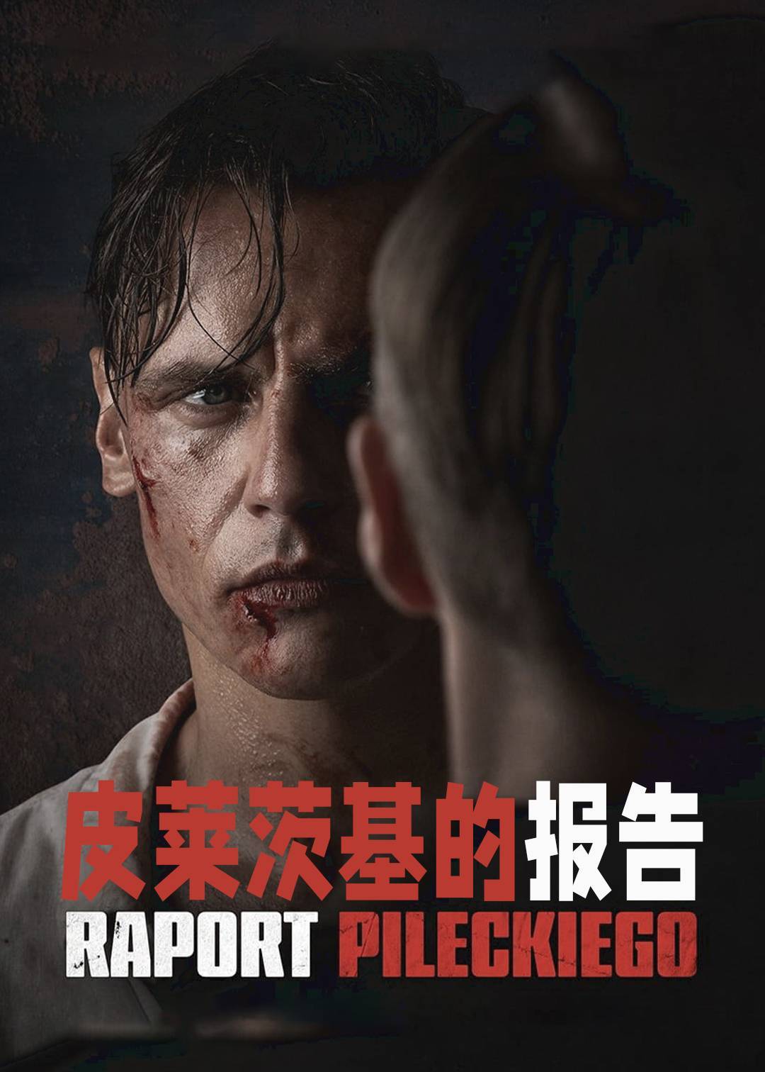 皮莱茨基的报告封面图
