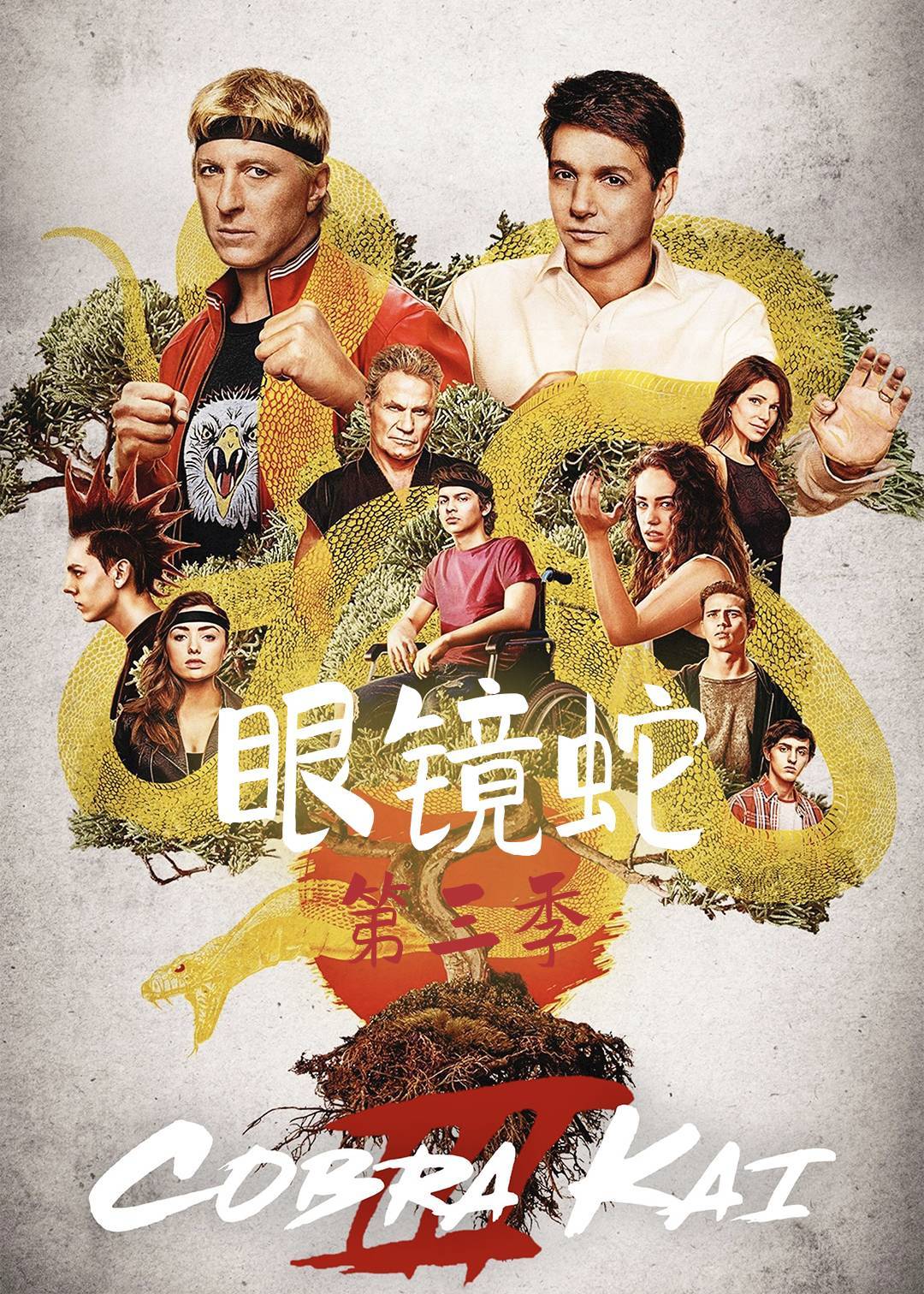 眼镜蛇第三季