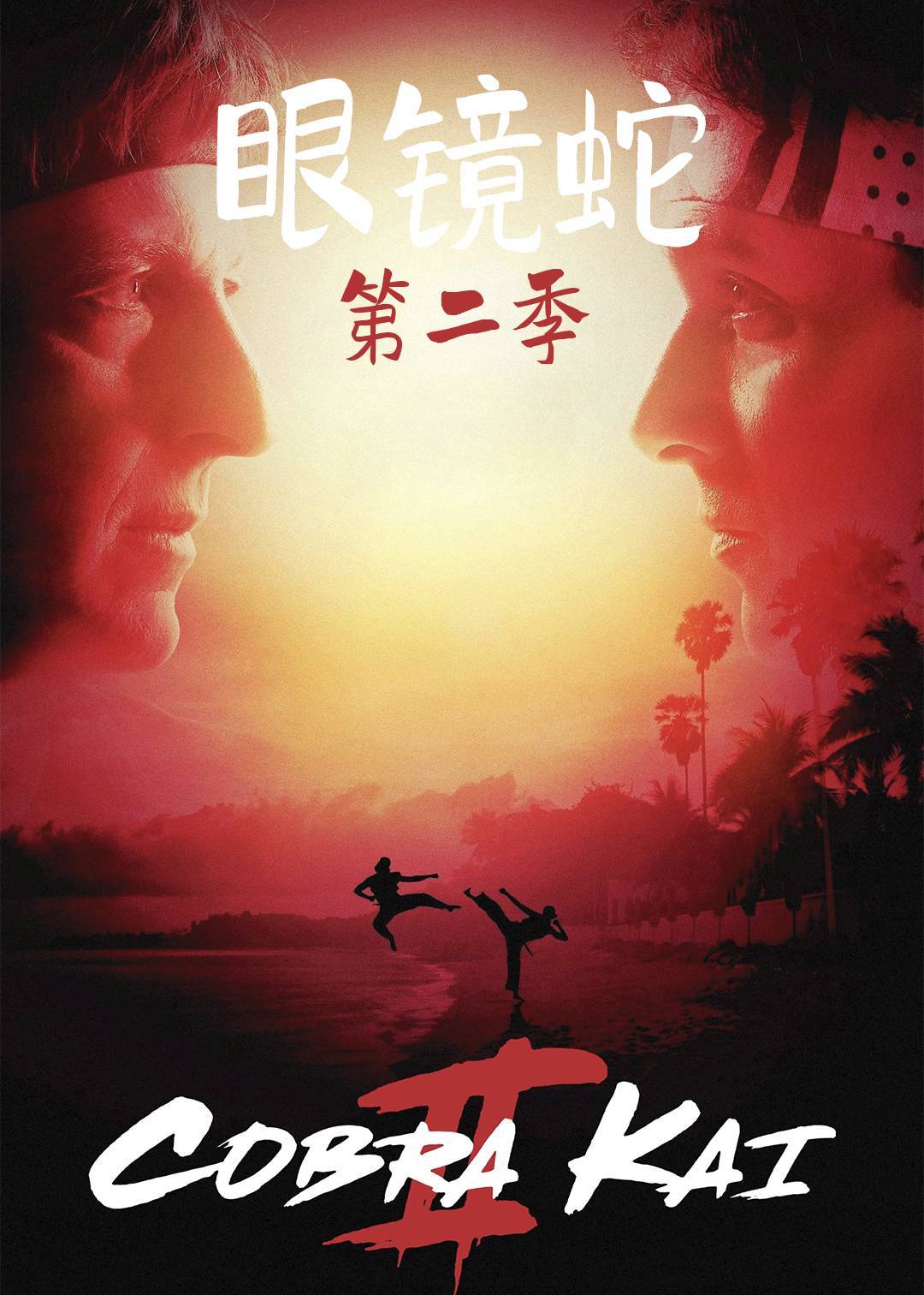 眼镜蛇第二季