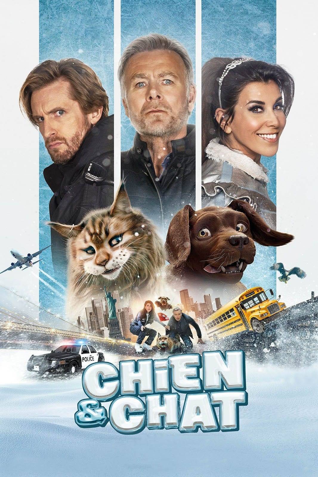 猫狗大乱斗