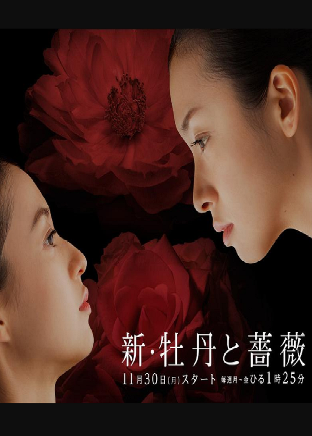 新牡丹与蔷薇