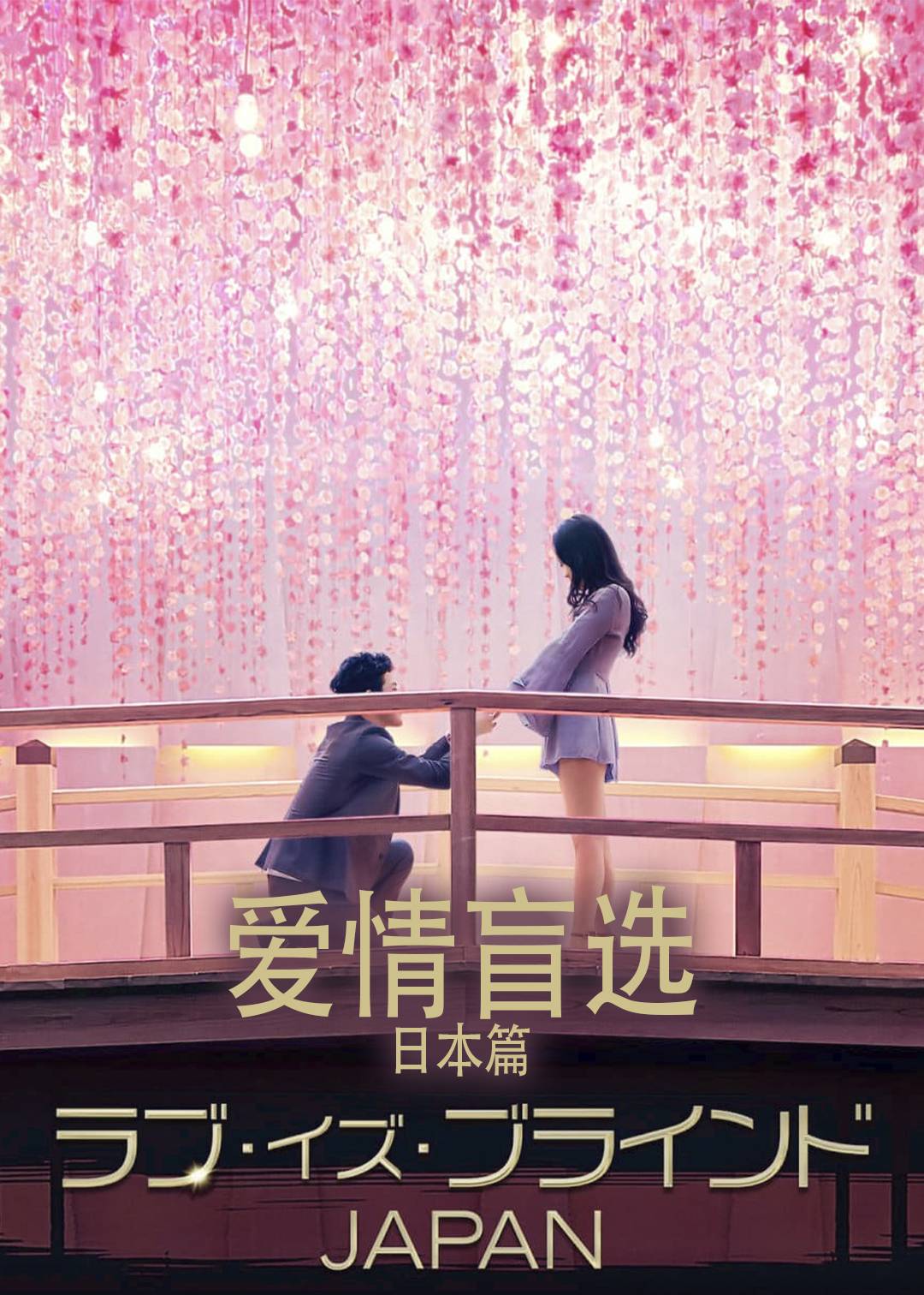 爱情盲选(日本篇)封面图