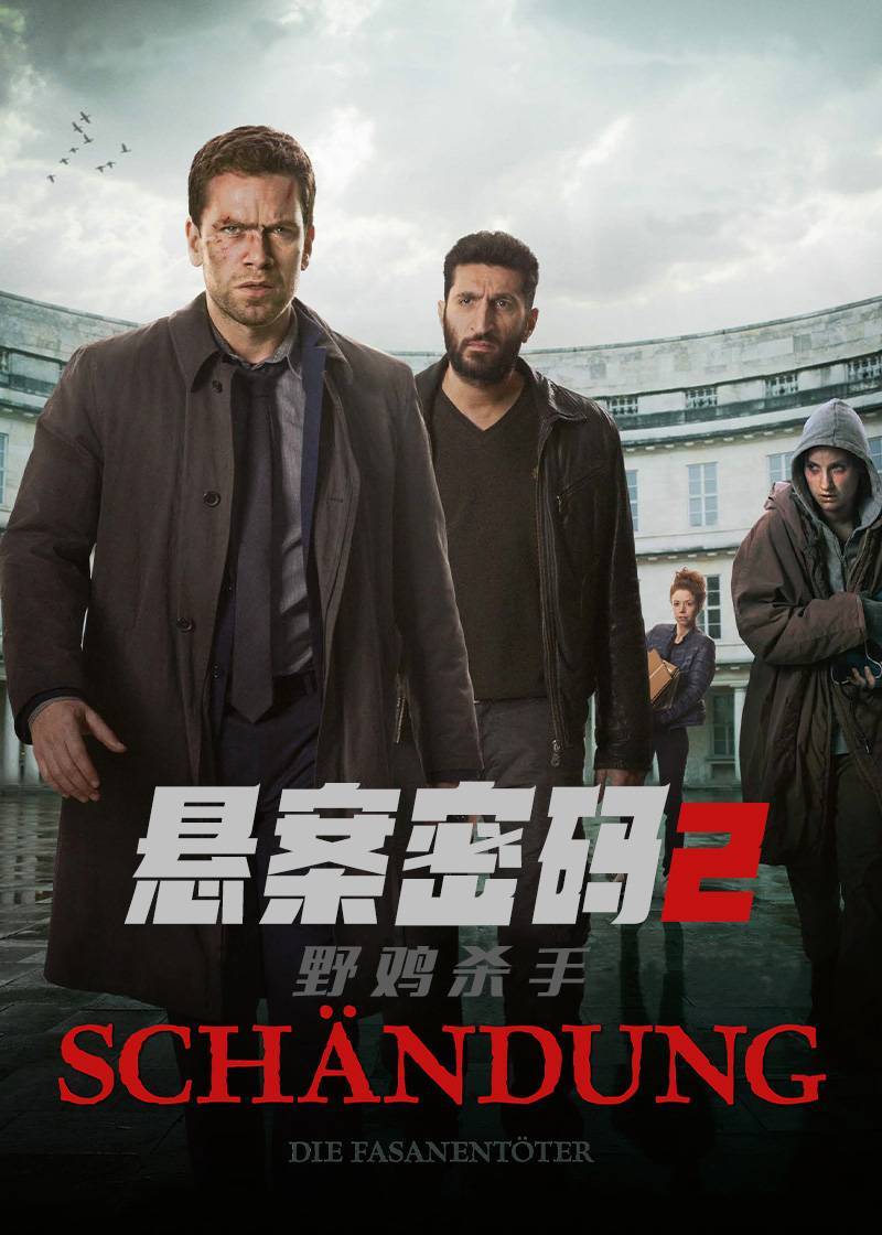 悬案密码2：野鸡杀手封面图