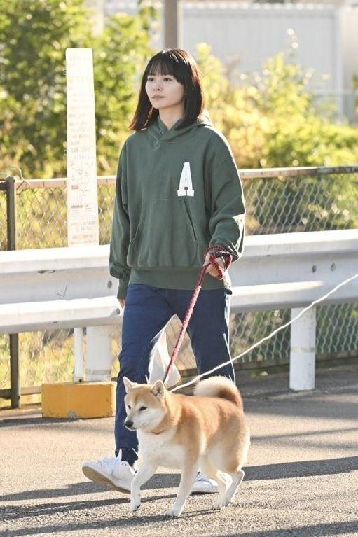 今日份的散步