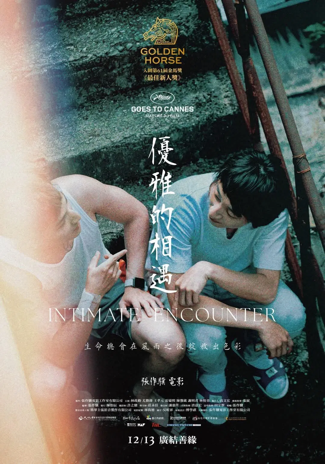 优雅的相遇封面图