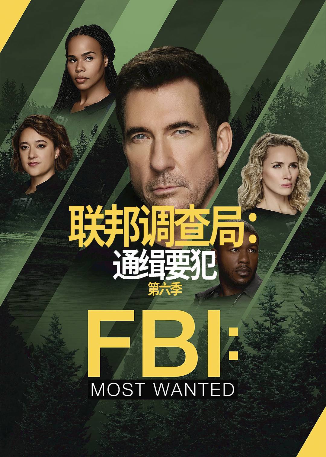 联邦调查局：通缉要犯第六季