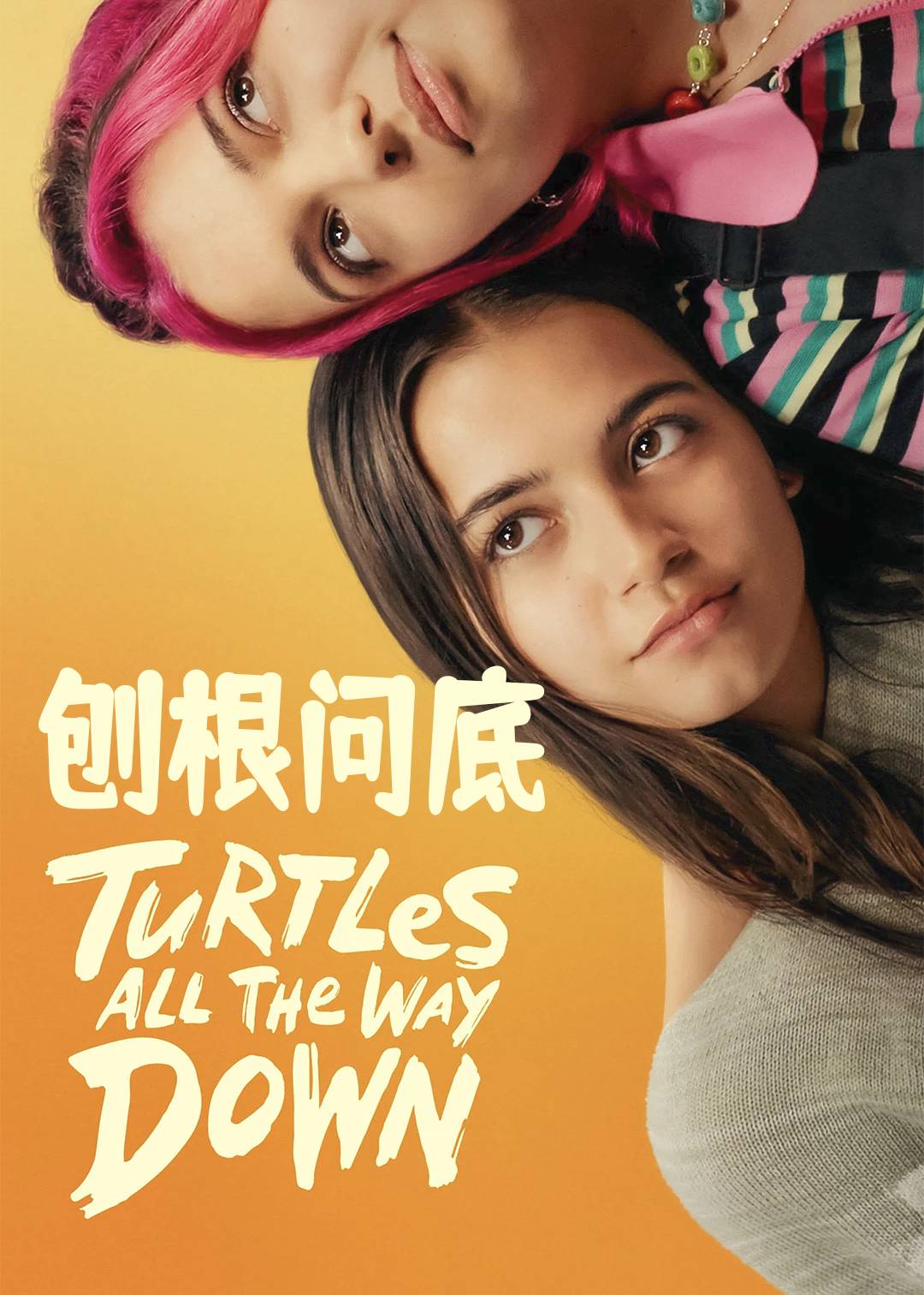 刨根问底