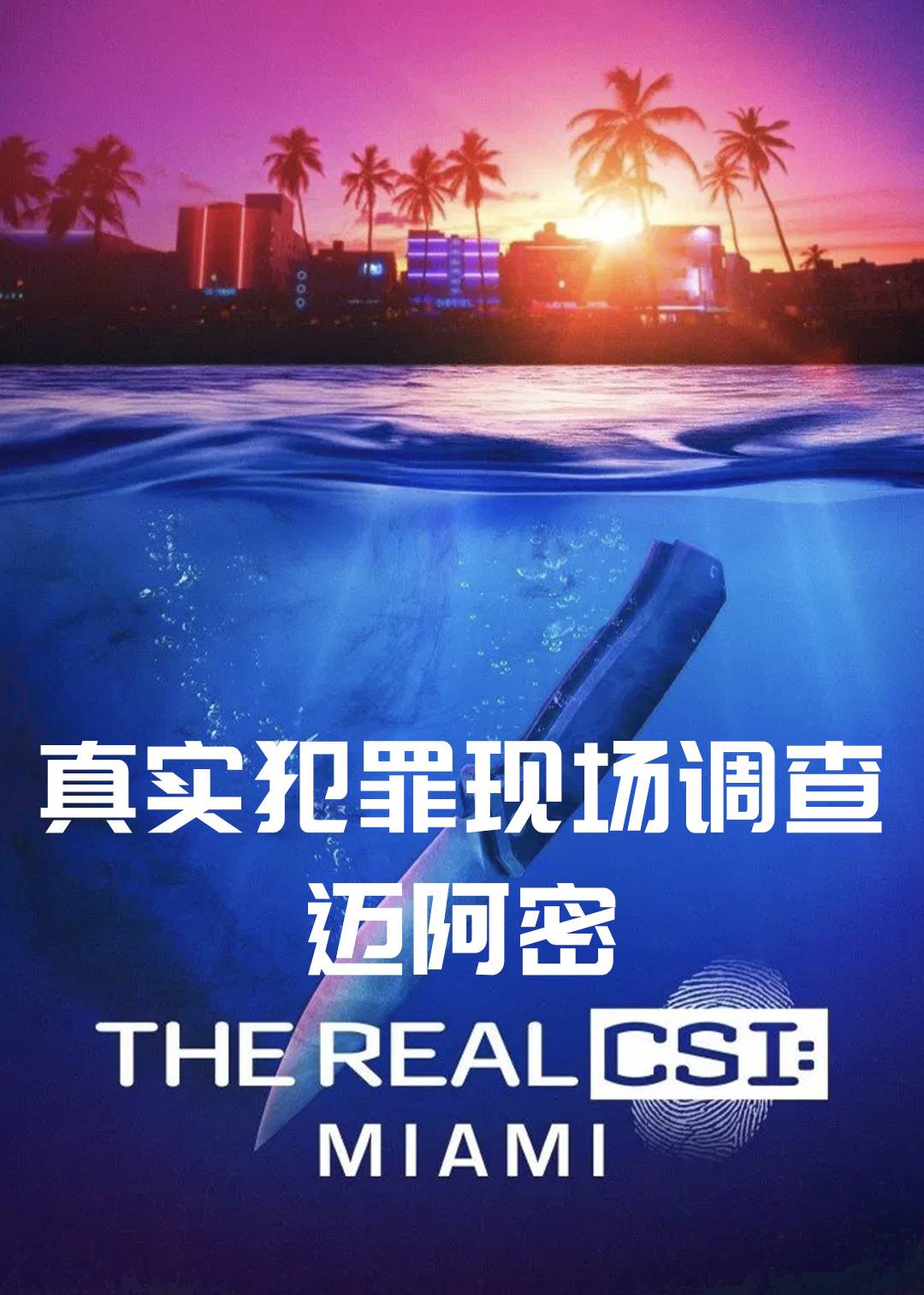 真实犯罪现场调查：迈阿密封面图