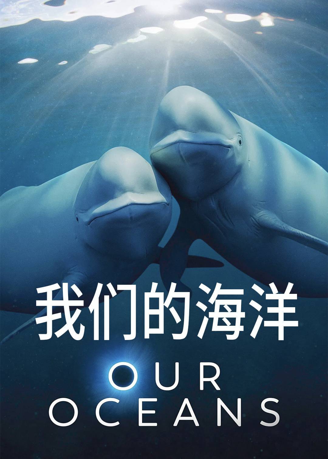 我们的海洋封面图