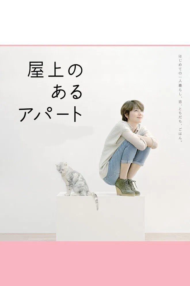 屋顶的公寓封面图