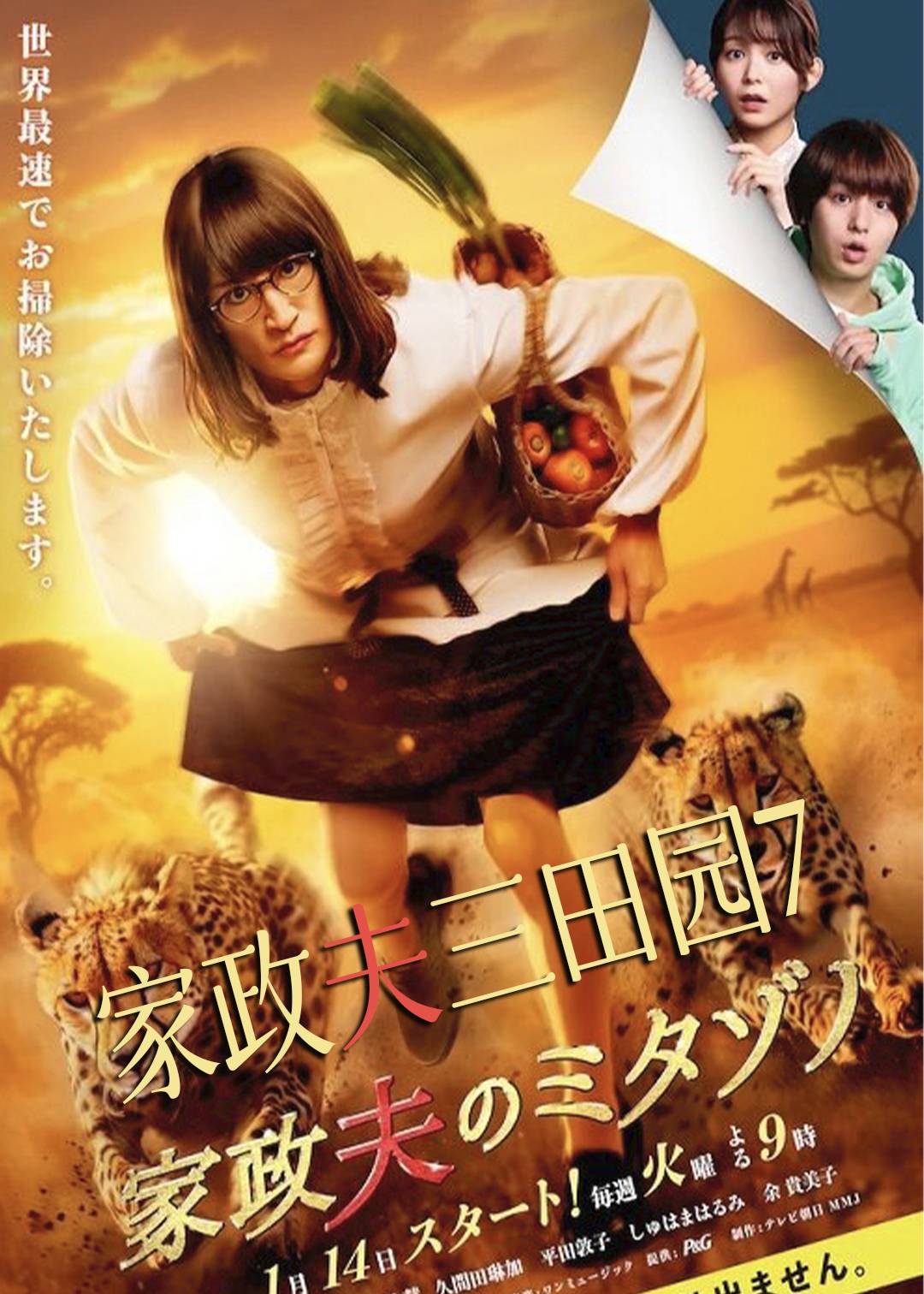 家政夫三田园第七季