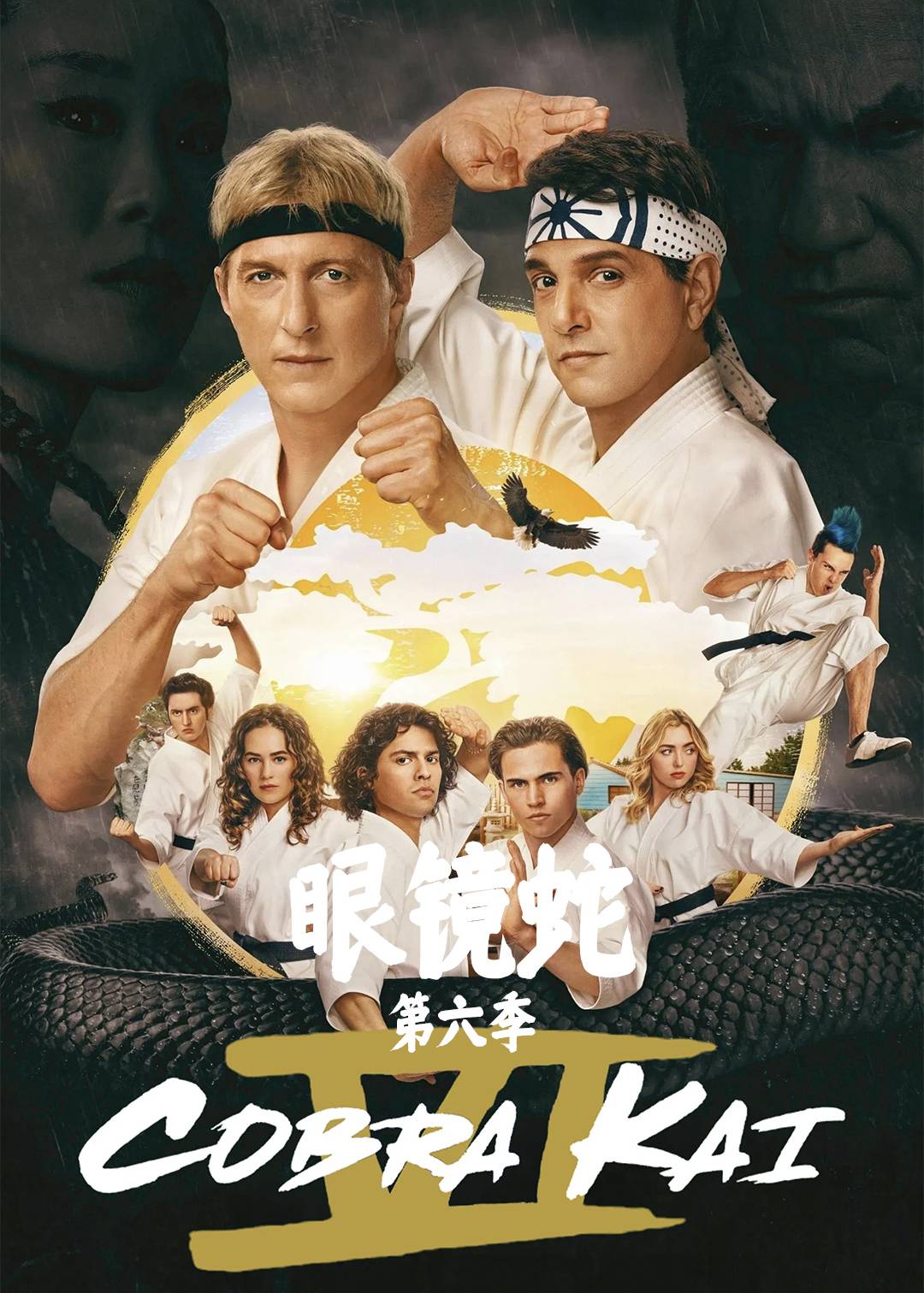 眼镜蛇第六季