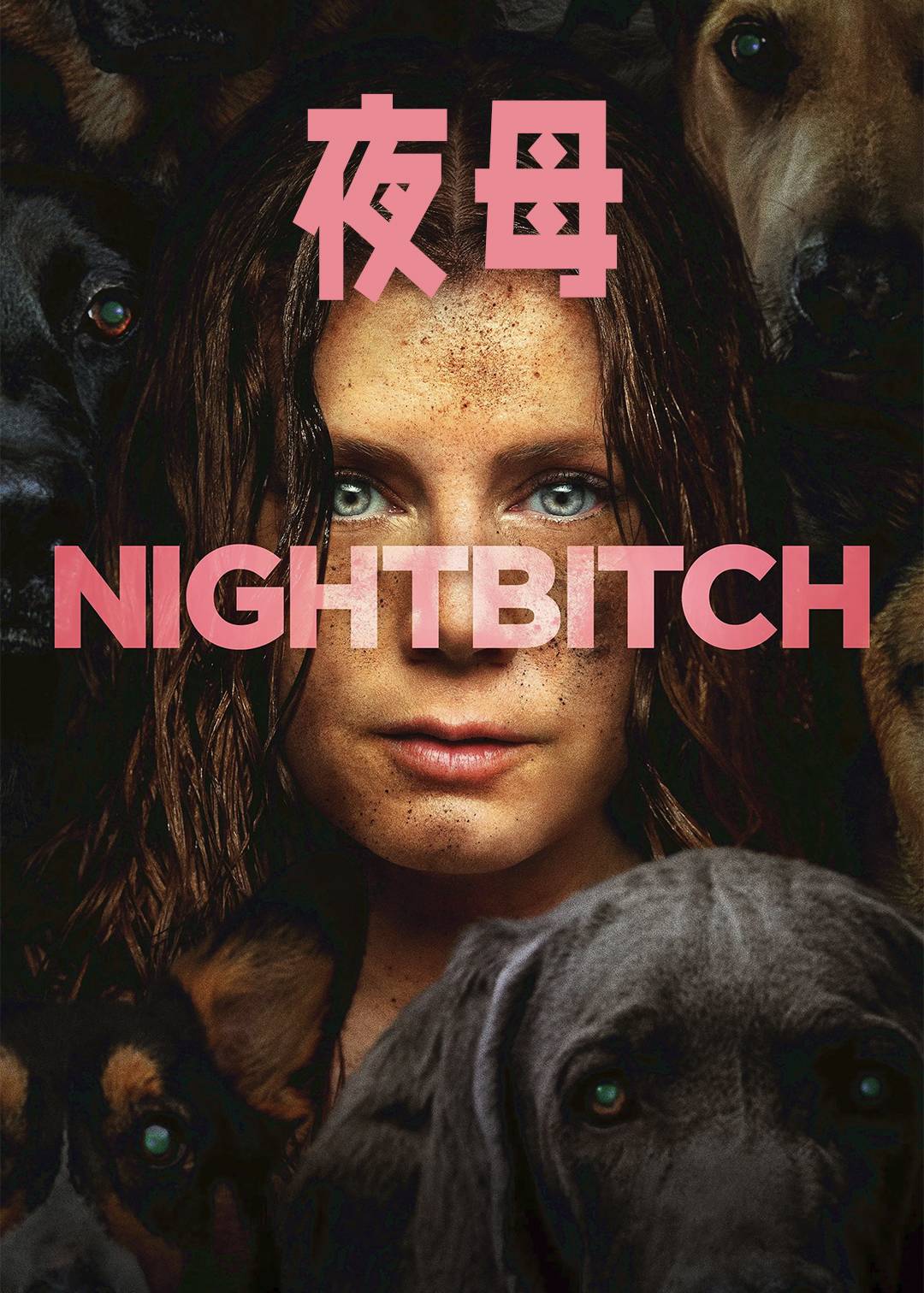 夜母封面图
