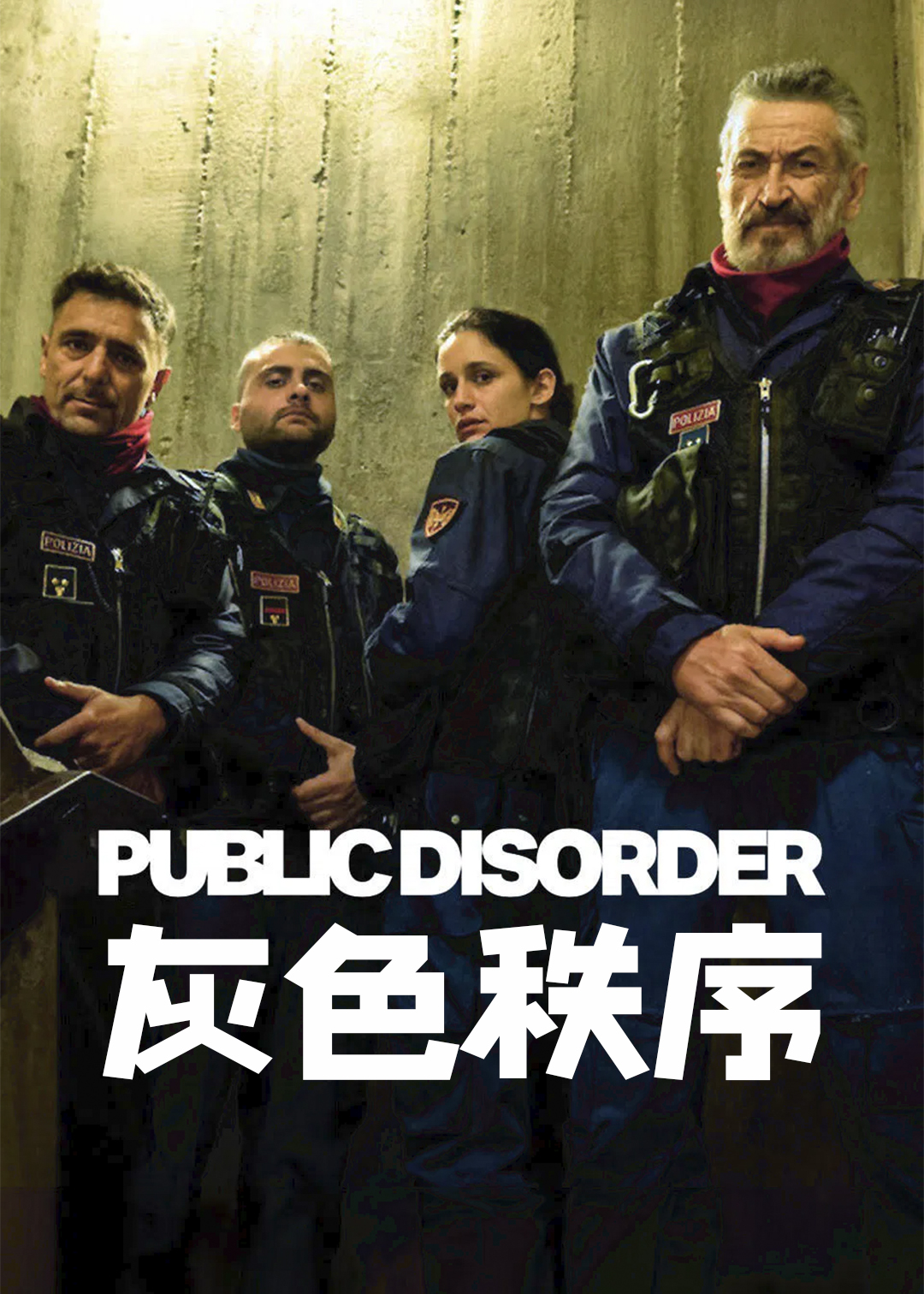 灰色秩序