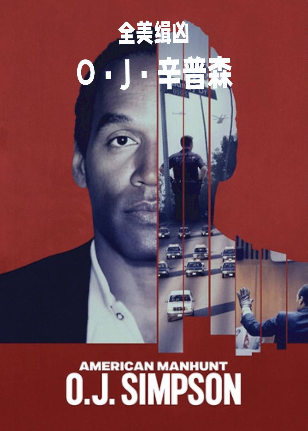 全美缉凶：OJ辛普森封面图