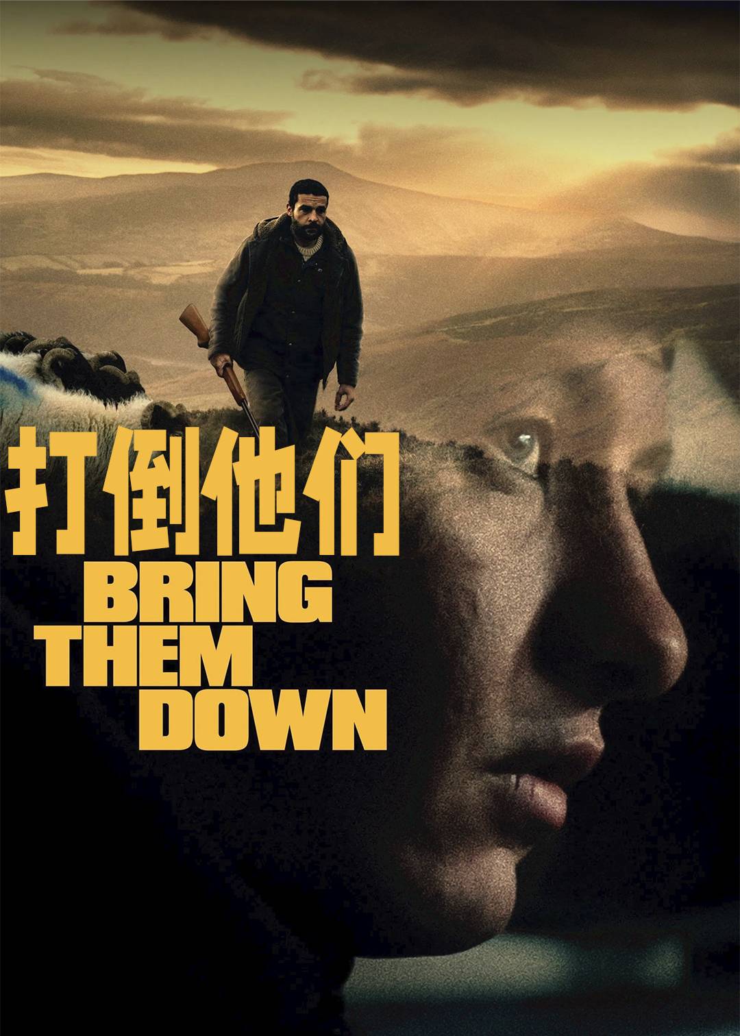 打倒他们封面图