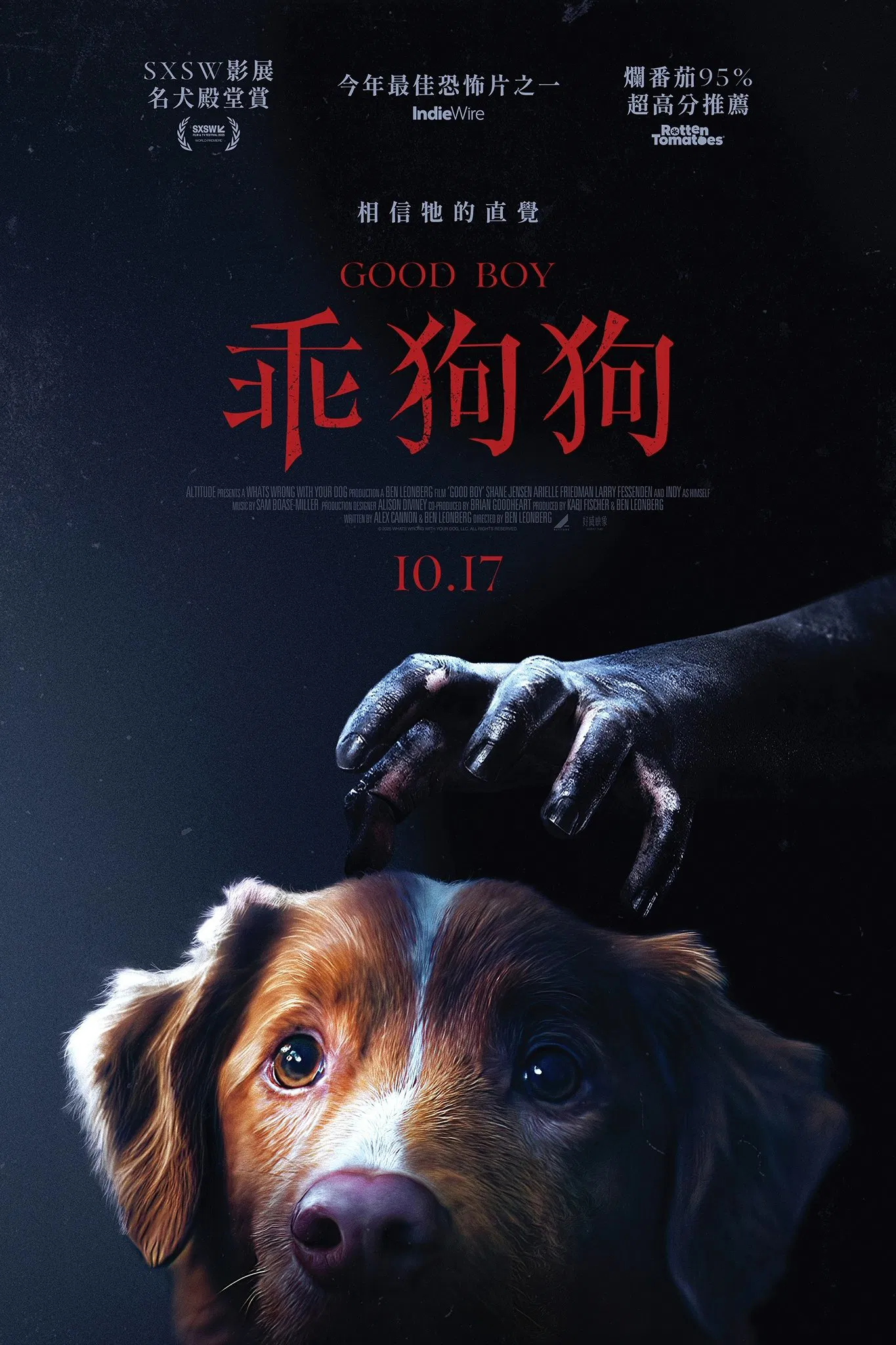 好狗狗封面图