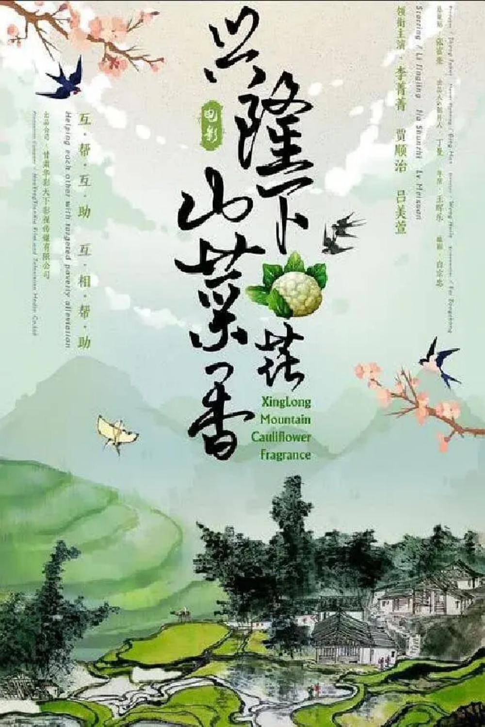 兴隆山下菜花香封面图