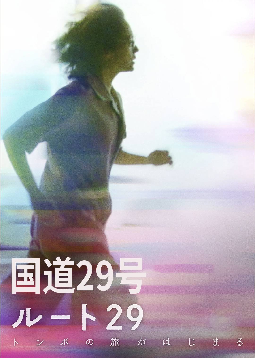 国道29号封面图