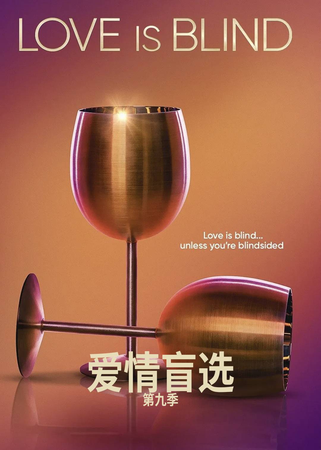 爱情盲选第九季封面图