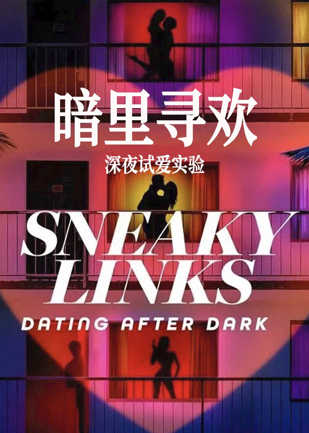 暗里寻欢：深夜试爱实验封面图