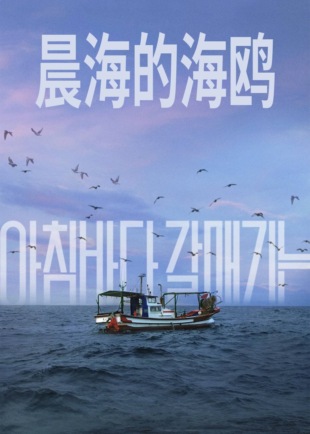 晨海的海鸥